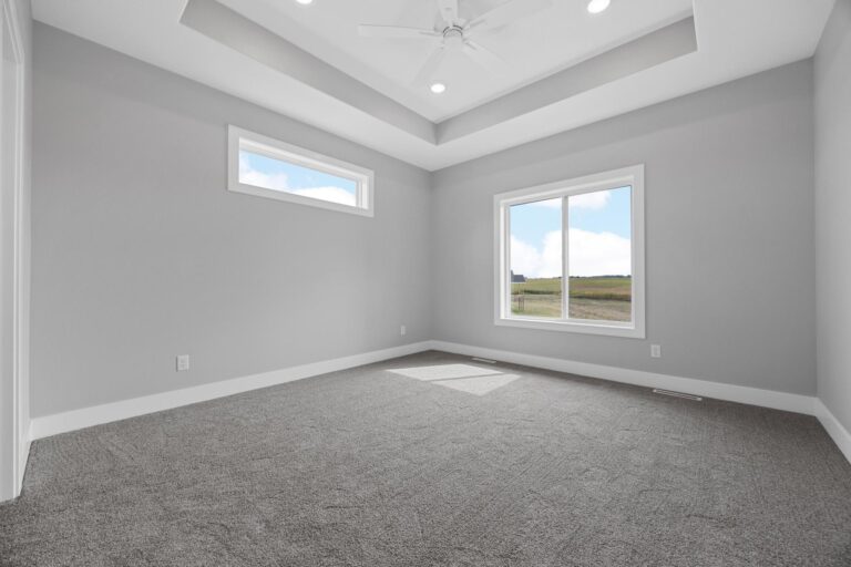 bedroom with tray ceiling