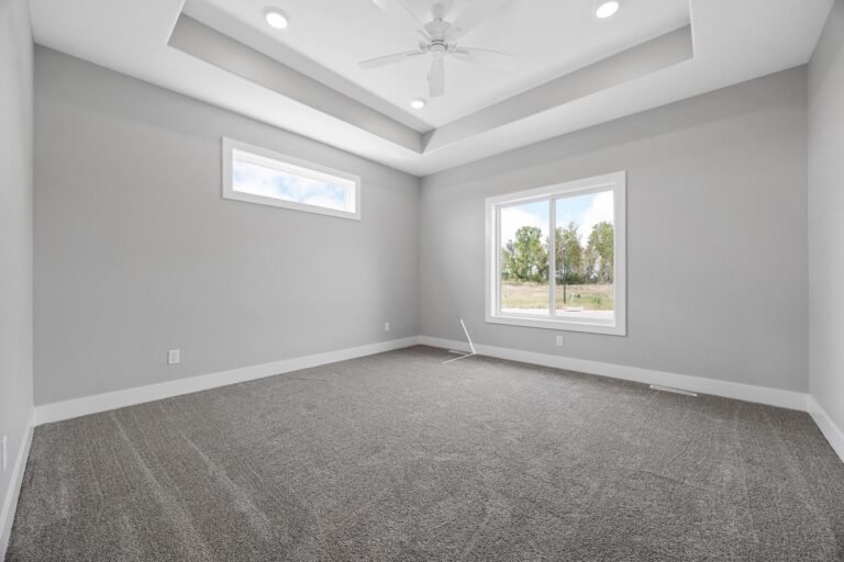 bedroom with tray ceiling